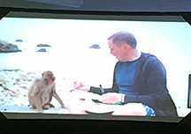 Dav Pilkey Attempts to Draw Despite Monkey Antics